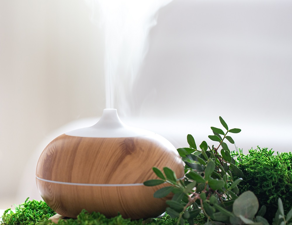 Modern Aromatic Oil Diffuser With Fresh Herbs .