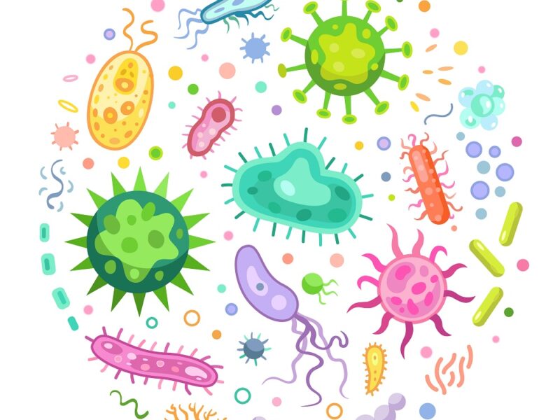 Pathogen Microorganisms Set