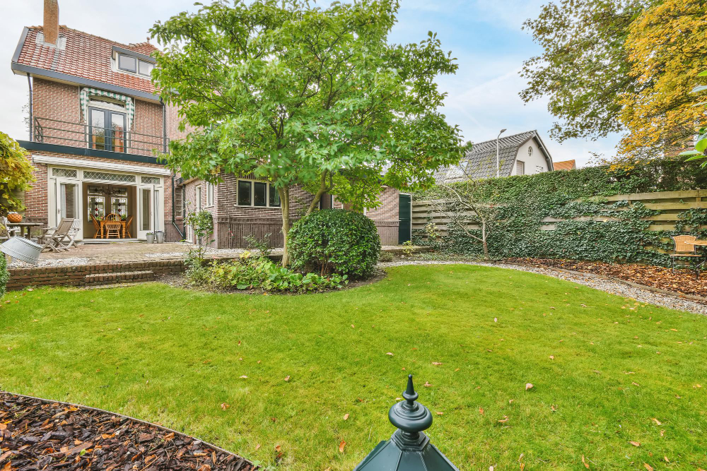 Delightful Courtyard With Many Trees