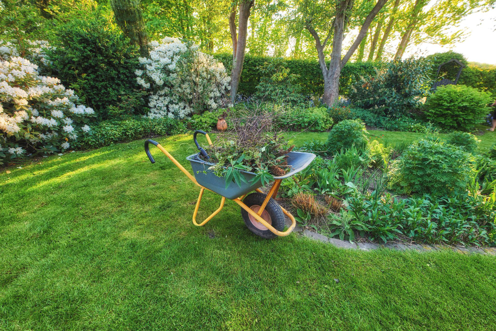 wheelbarrow-perfect-green-lawn-cultivated-country-garden-used-garden-work-professional-gardening-service-contracted-gardener-maintaining-lush-backyard-planting-seasonal-shrubs