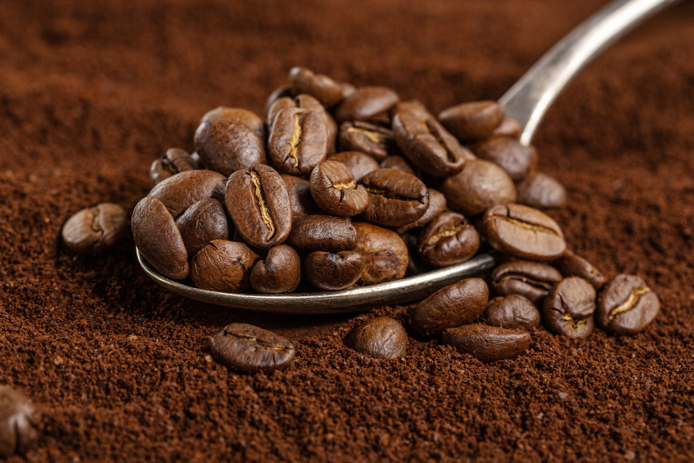 Kávová sedlina je ideální hnojivo pro jehličnany i pokojové rostliny. Uplatnění najde i v lednici