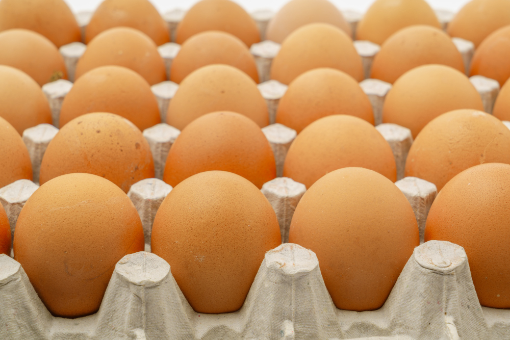 O kvalitě vajec řekne vše kód na balení. Domácí produkt je nejlepší variantou