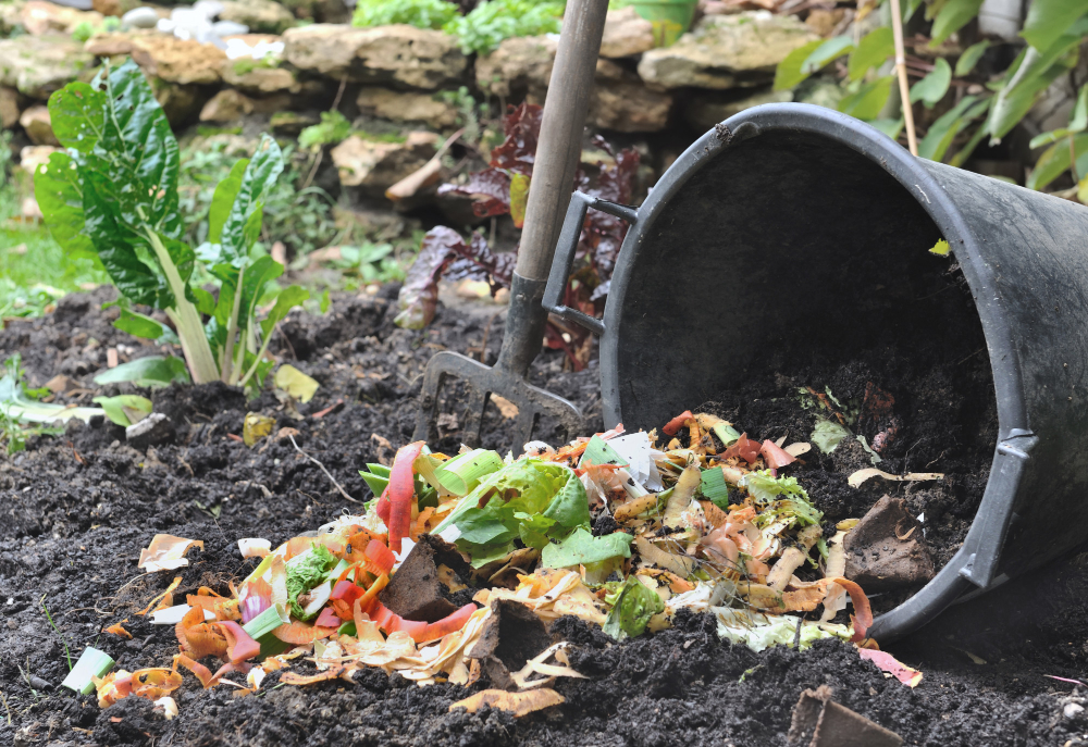 Vegetable Peelings Compost