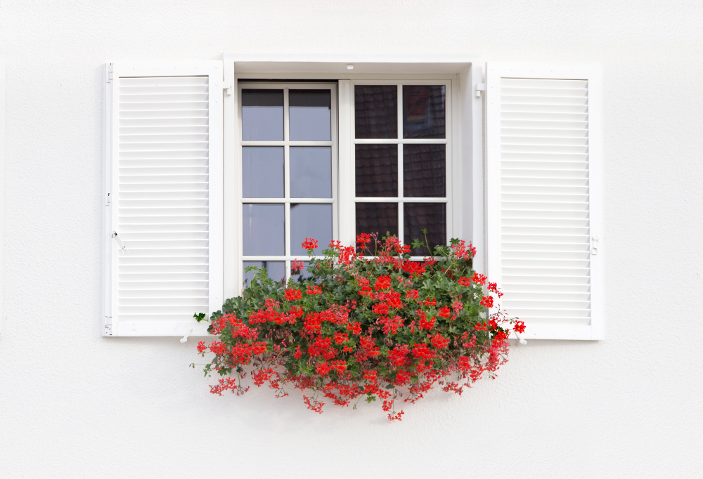 white-window-flowers