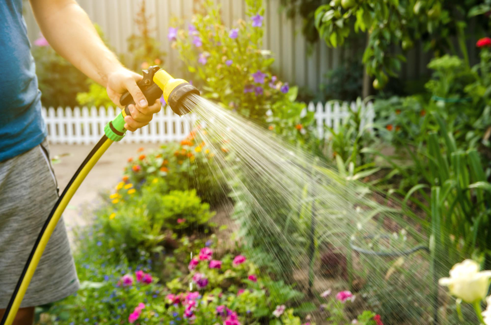 gardener-with-watering-hose-sprayer-water-flowers-garden-summer-sunny-day