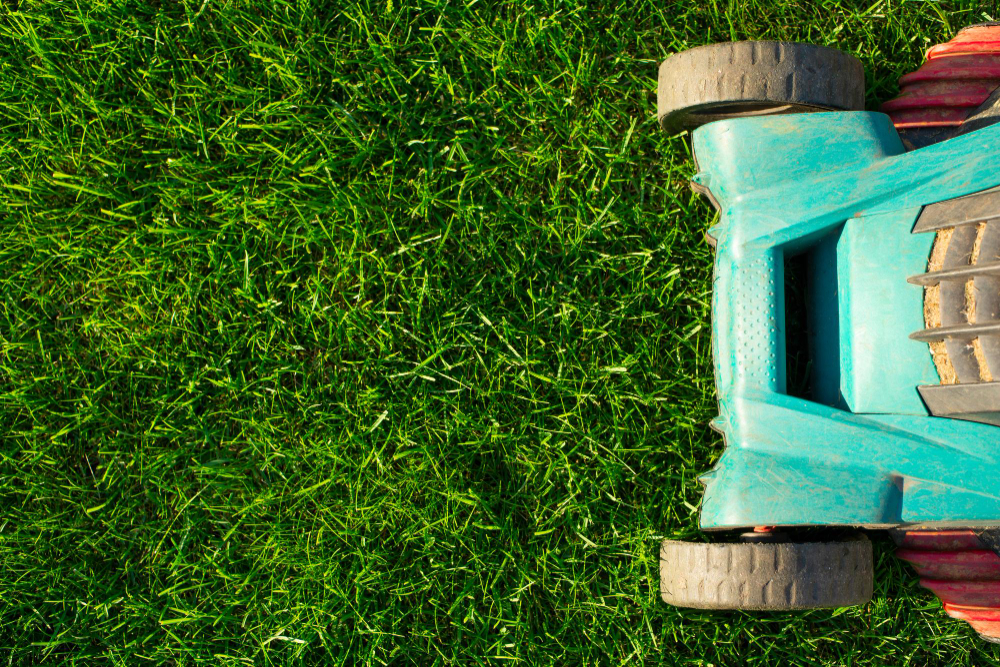 electric-lawn-mower-green-grass-background-top-view (1)