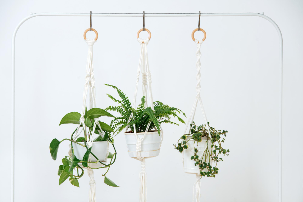 potted-plants-macrame-holders-suspended-from-frame-rack