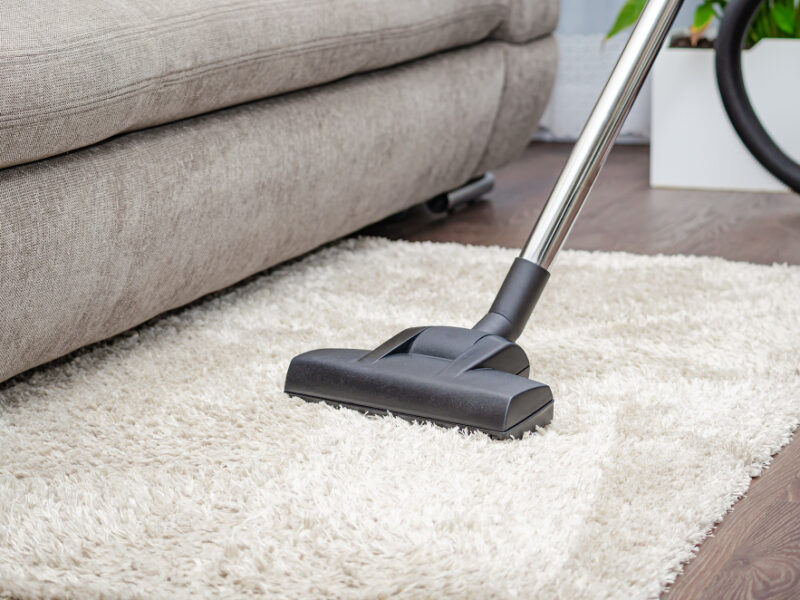 Woman Vacuums Gray Carpet With Vacuum Cleaner Cleaning Cleanliness Concept