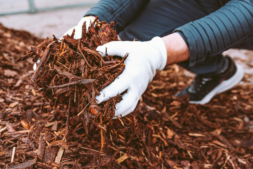 Male Hands Gardening Gloves Holding Wood Chips Garden Mulch