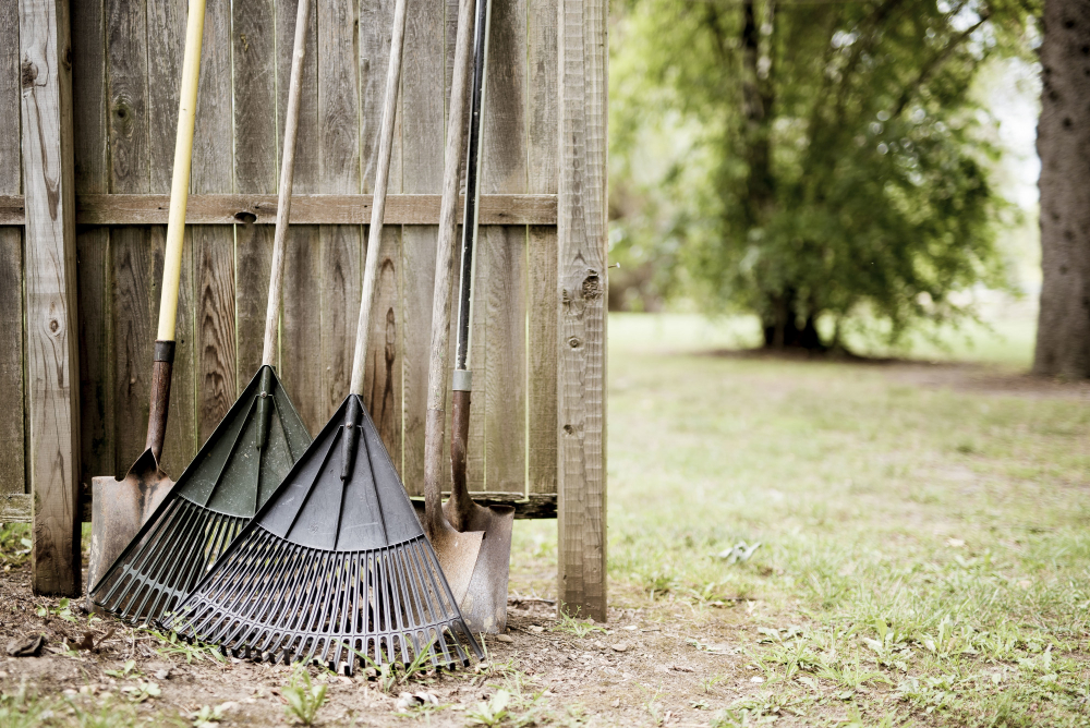 Closeup Shot Two Leaf Rakes Shovels Leaned Against Wooden Fence With Blurred Background