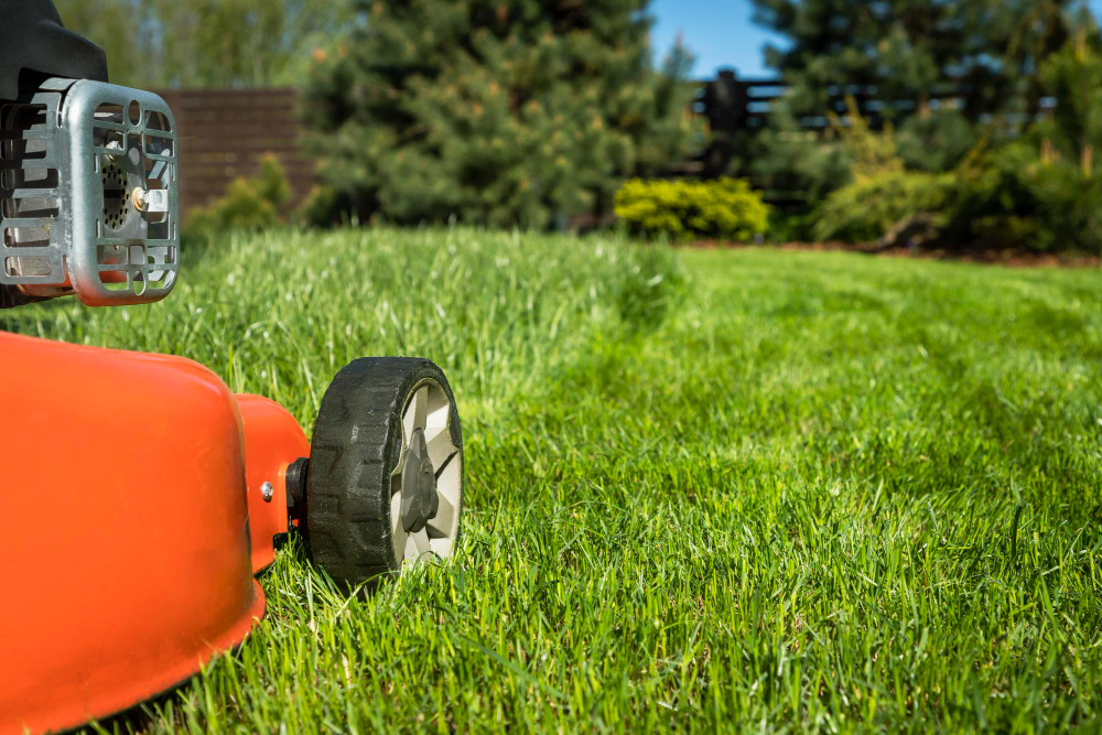 lawn-mower-lawn-cuts-grass