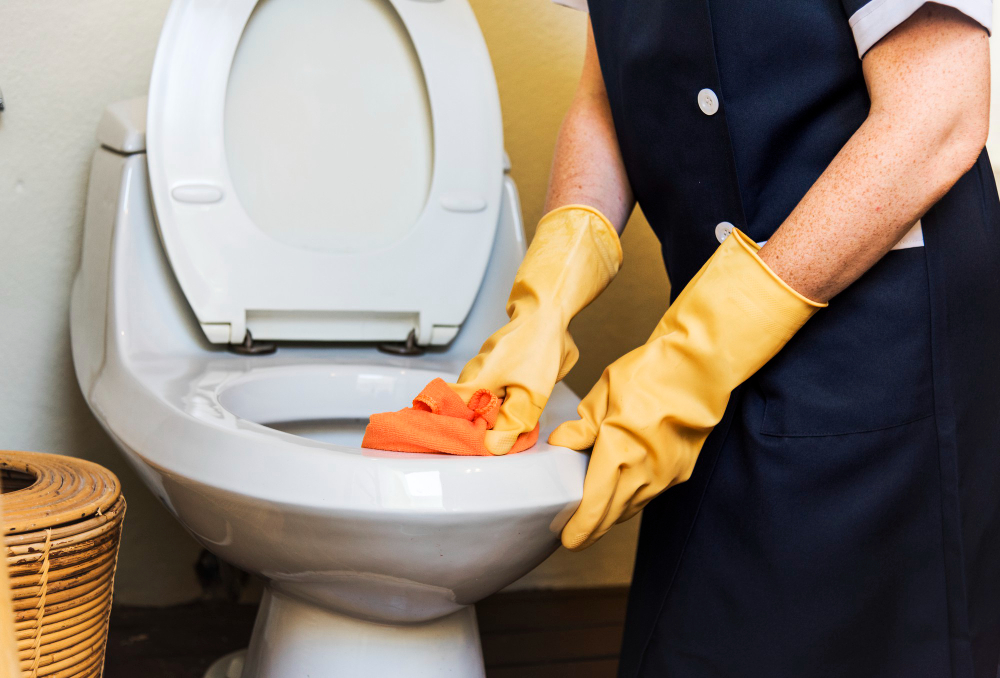 Housekeeper Cleaning Hotel Room