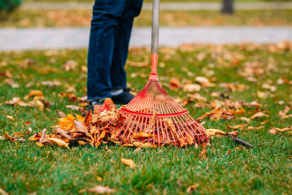 rake-with-fallen-leaves-autumn-gardening-cold-season-cleaning-yellow-leaves-fall