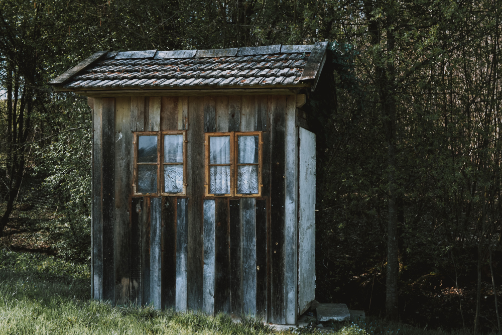 Small Wooden Cabin With Brown Windows With White Curtains Forest Surrounded By Trees