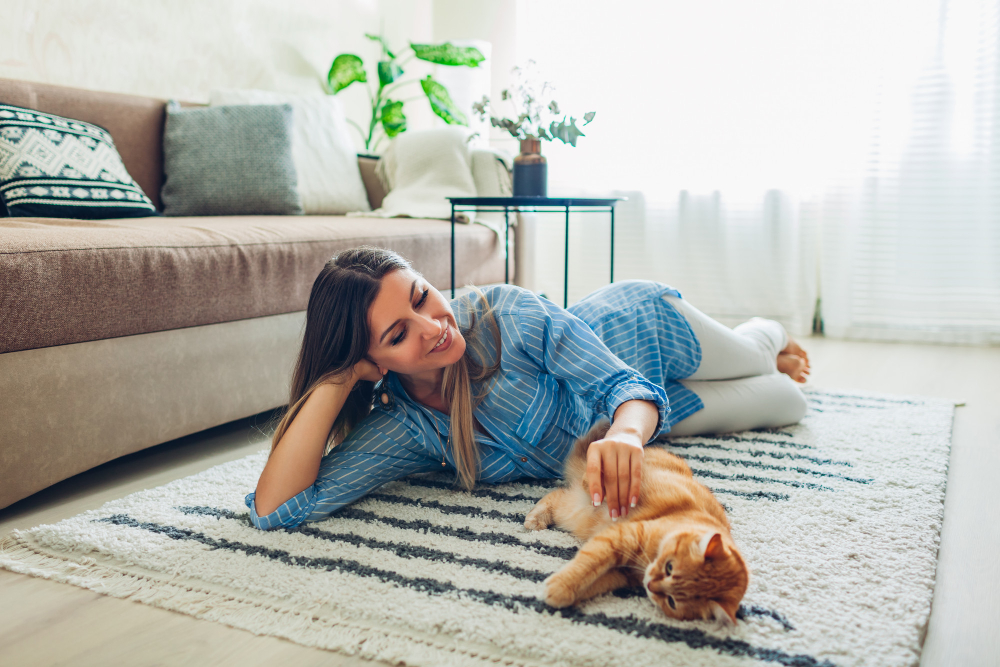 Playing With Cat Home Young Woman Lying Carpet Teasing Pet