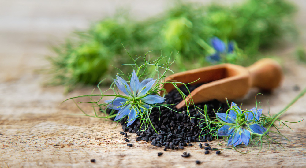 Black Cumin Seeds Flowers Selective Focus