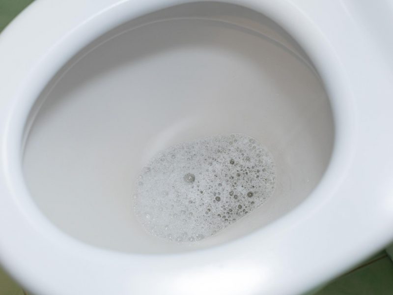 Čistá toaleta je vizitkou každého domova. Na kupované prostředky ale zapomeňte