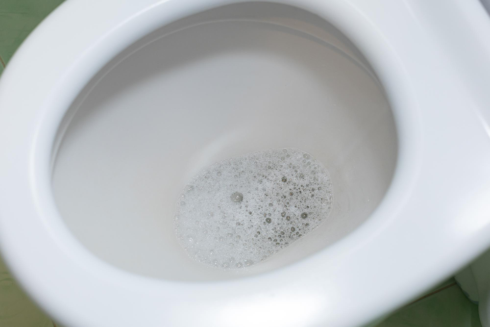 Čistá toaleta je vizitkou každého domova. Na kupované prostředky ale zapomeňte