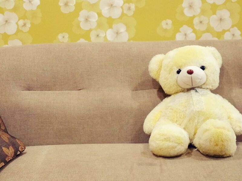 teddy-bear-1853609_1280