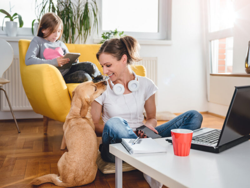 Woman Stroking Dog